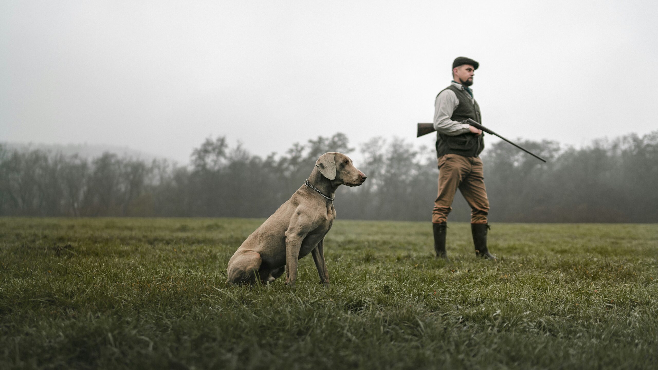 AJ Abdelnour:Hunting