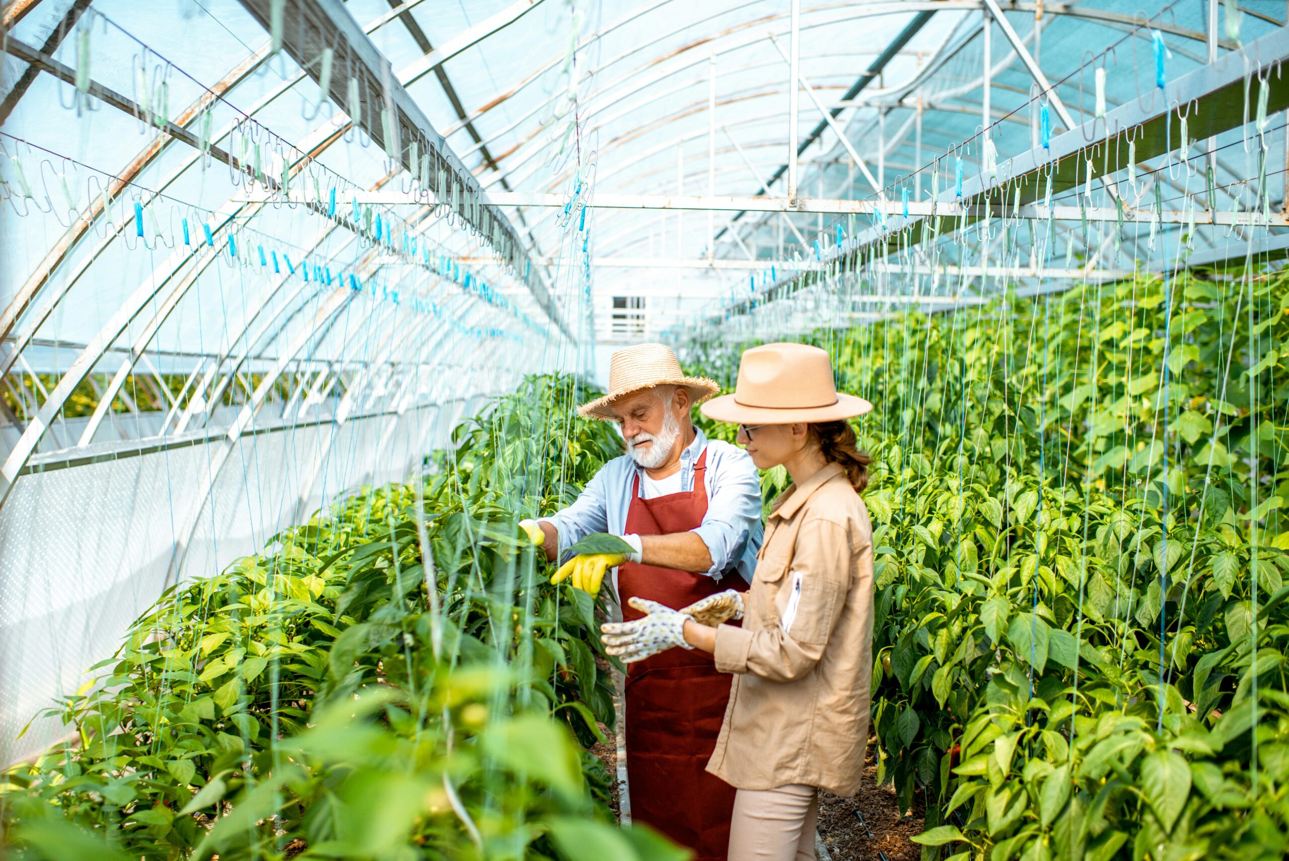 AJ Abdelnour:Organic Gardening