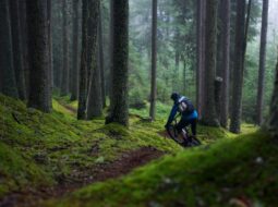 Mountain Biking