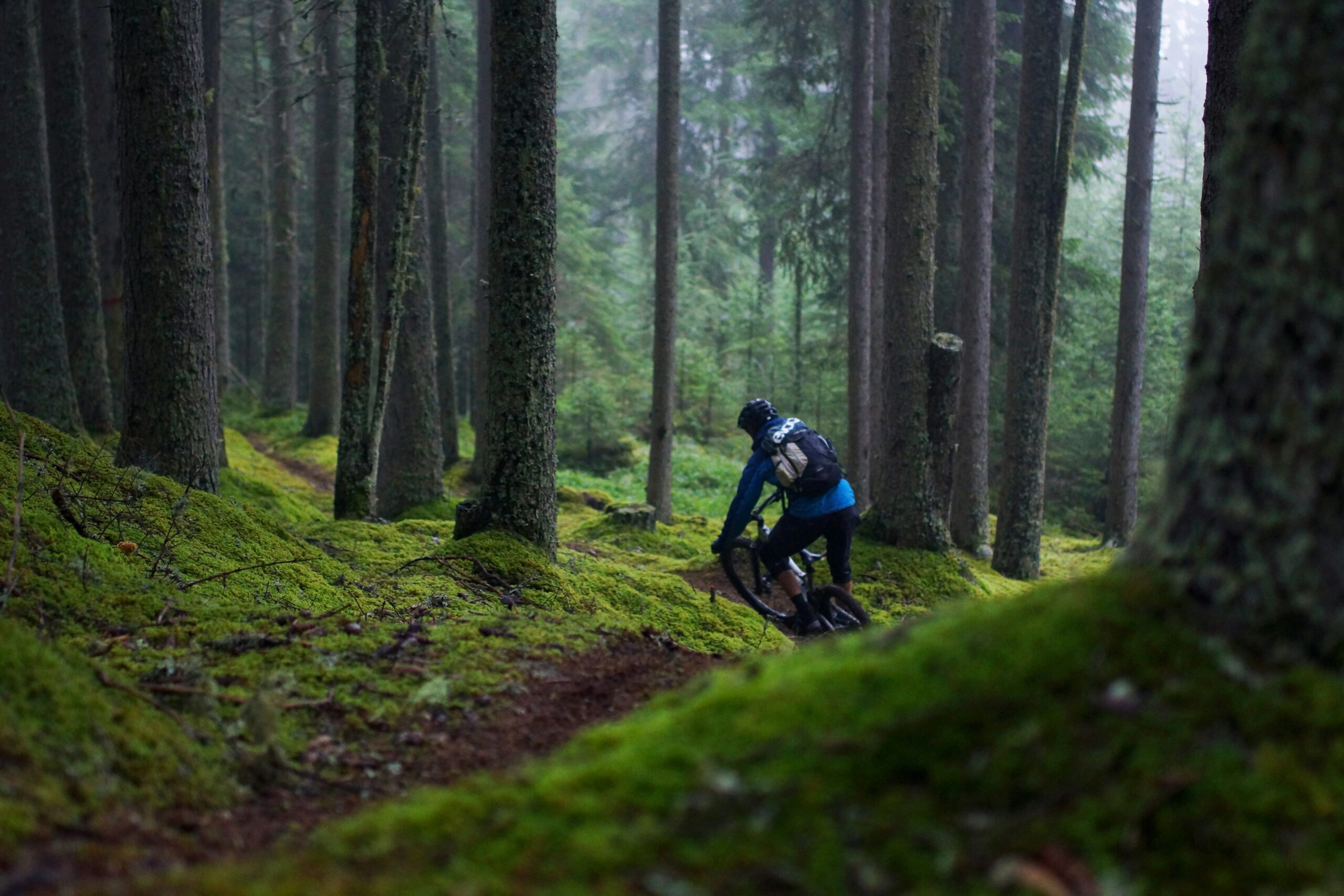 Mountain Biking