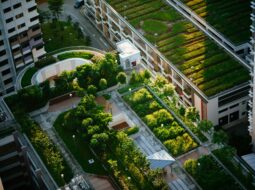 Urban Gardens