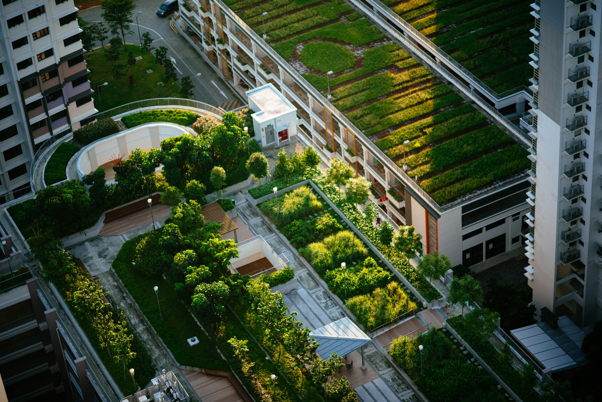 Urban Gardens