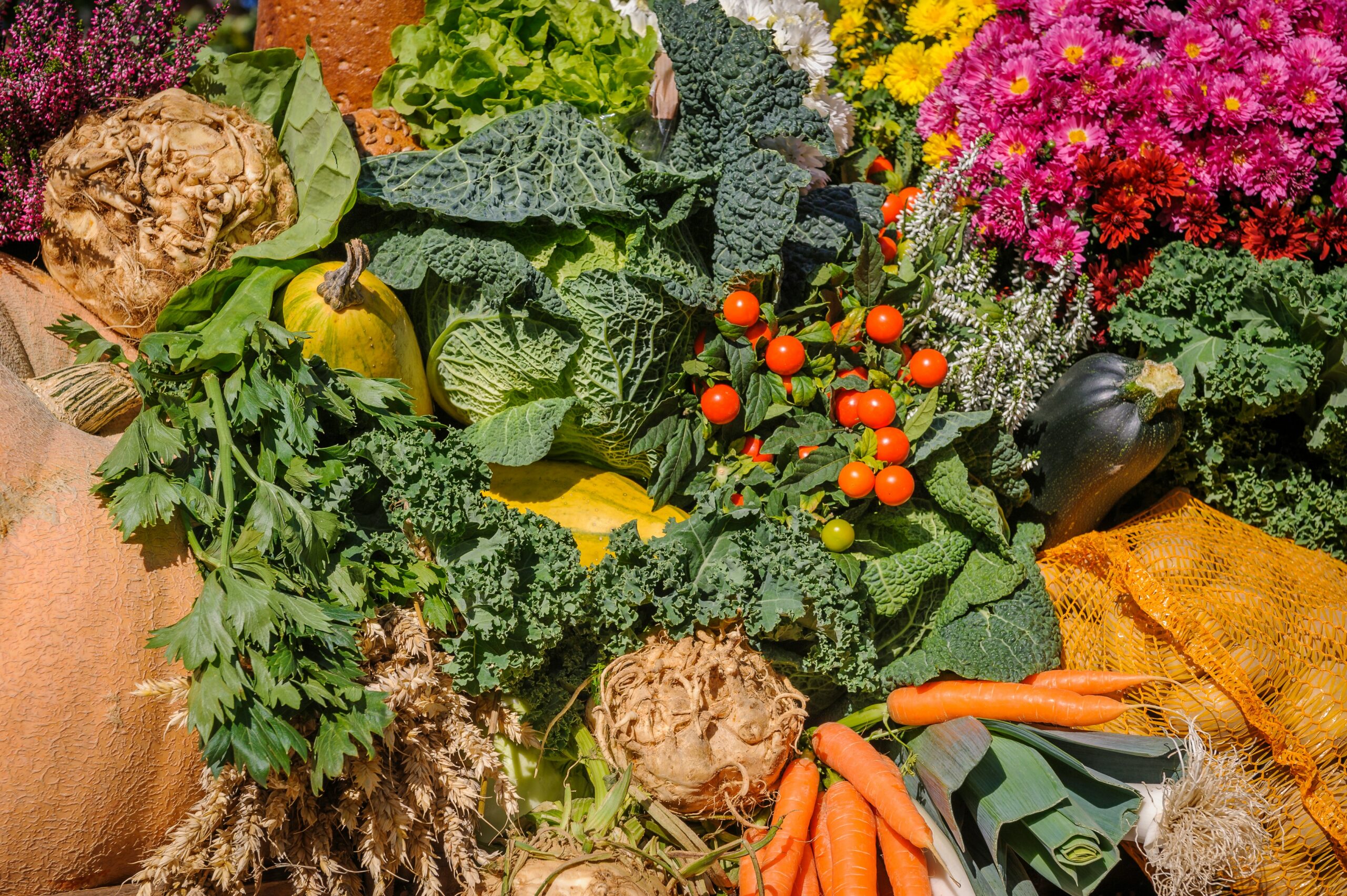 vegetable garden