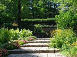 Sustainable Landscaping