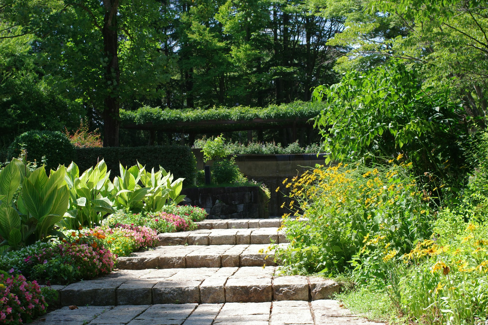 Sustainable Landscaping