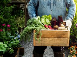 Organic Gardening