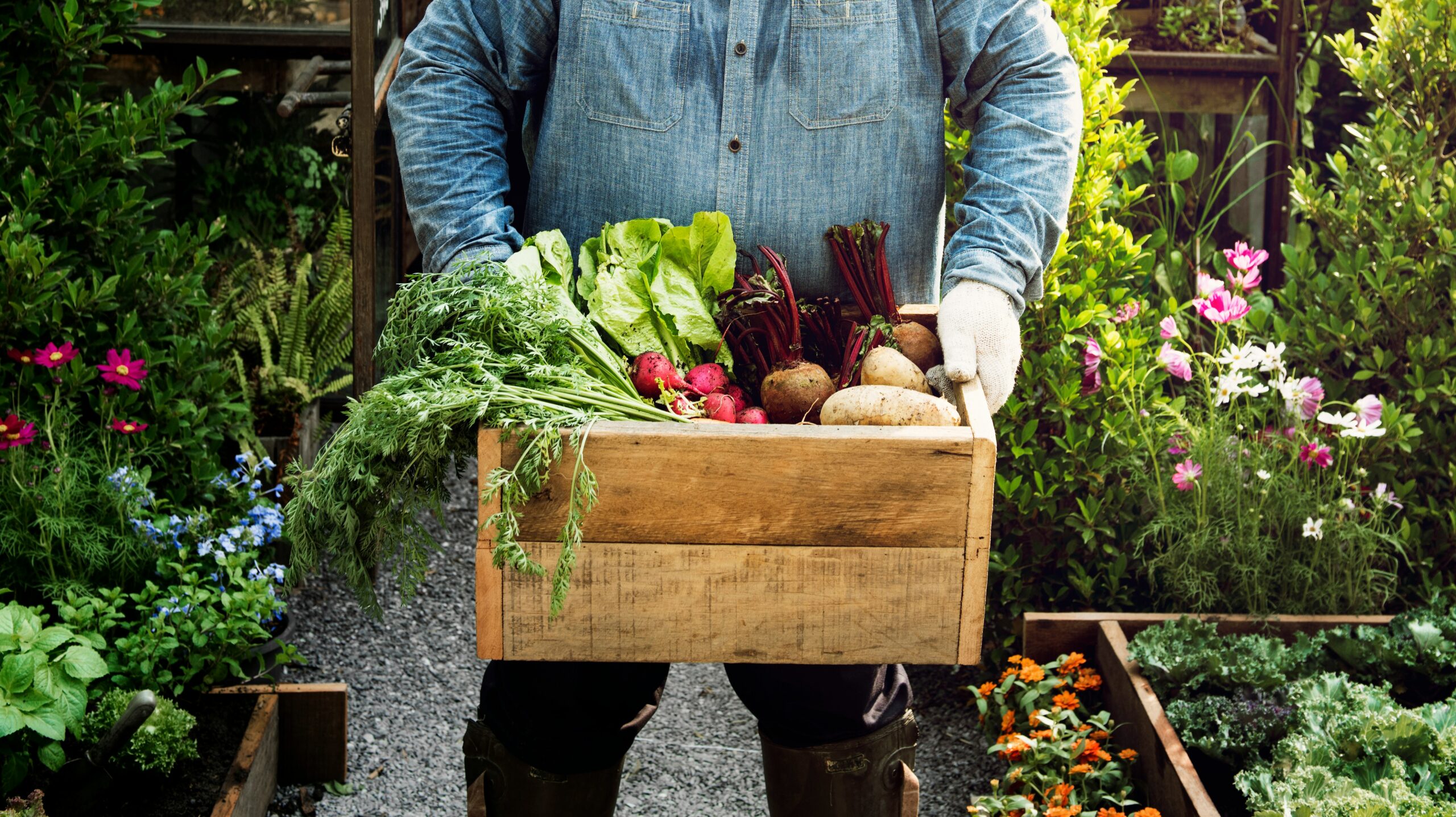 Organic Gardening